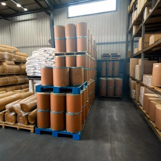 Polyvinylpyrrolidone Cross-Linked Pvpp CAS No. 25249-54-1 with Top Quality