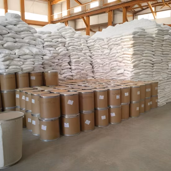 Polyvinylpyrrolidone Cross-Linked Pvpp CAS No. 25249-54-1 with Top Quality